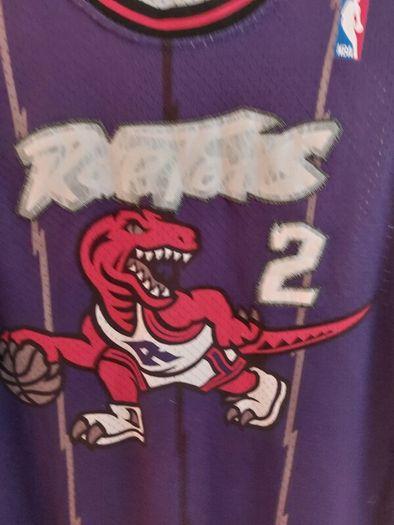 Toronto raptors basketball jersey