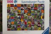1000 puzzle/jigsaw