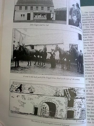 Dunshaughlin through the years Ireland Irish Meath local history Signed