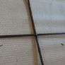Solid wood and iron double bed frame Image 5