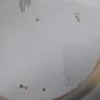 Early 19th Century Platter Image 6