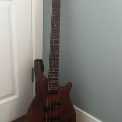 Bass guitar