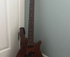 Bass guitar