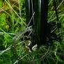 Bentini 26" Mountain Bike Image 4