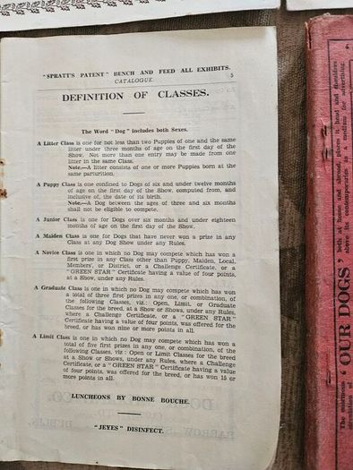 Catalogues Of The 10th & 11th Irish Kennel Club Shows 1931-32. Plus To Stud Cards For Dogs. Paperbacks In Only Fair Condition.  See Photos For Same.