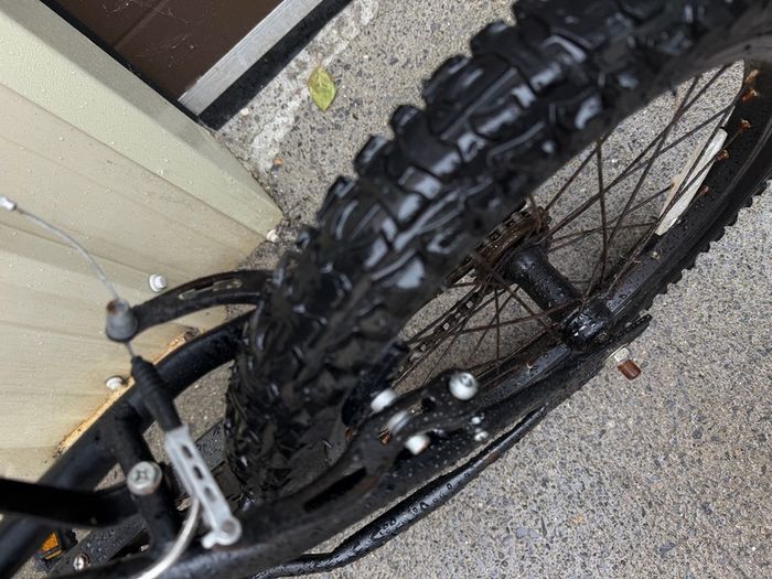Bicycle Free