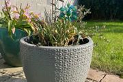Medium Grey Earthenware Flower Pot- 2 available