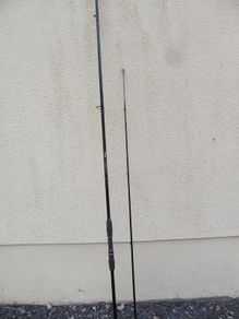 Pen Progression Pike rod