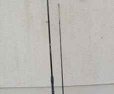 Pen Progression Pike rod