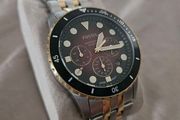 Watch fossil
