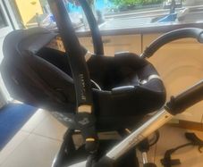 Egg Travel System