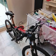 Electric bike