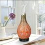 BNIB Glass Essential Oil Diffuser Image 5