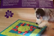 Outward Bound dog puzzle