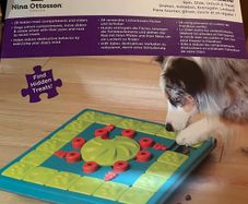 Outward Bound dog puzzle