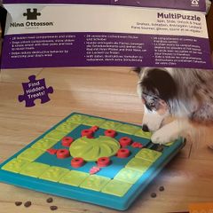 Outward Bound dog puzzle
