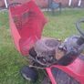 Briggs and Stratton Image 2
