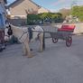 Filly ,2 wheeler Image 2