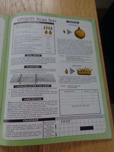 Vegetable Plotter Book bt Dr. D.G. Hessayon for Sale