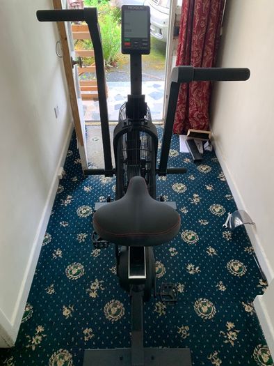 Rogue Echo Bike