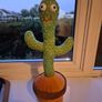 Singing and dancing cactus Image 2