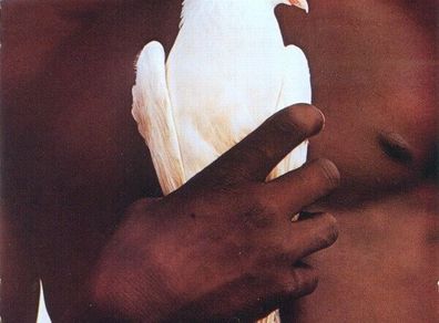 Free Postage! The Very Best Of Santana. CD.