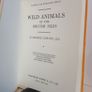 Wild Animals of The British Isles by Maurice Burton (HQ523) Image 2