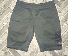 The North Face Mens Shorts Size Large W36