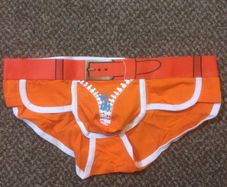 Brand New Underwear Solid Nylon Spandex Briefs