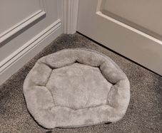 Dog bed