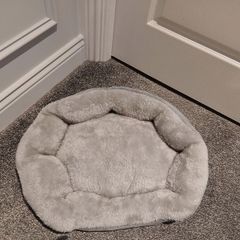 Dog bed