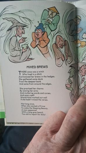 BEAUTIFUL ILLUSTRATED. THE FIRESIDE BOOK. 1995.POEMS OLD AND NEW EACH BEAUTIFULLY illustrated by a full page painting special commission to capture the flavour of the words. Hardback With Dustjacket In Very Good Condition.