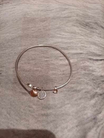 Silver tone adjustable bracelet with charms