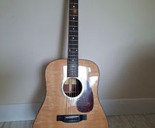 Eastman E1D Deluxe