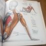 Science of Running by Chris Napier -brand new Image 4