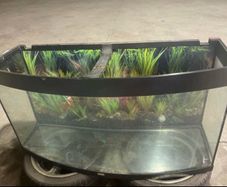 fish tank
