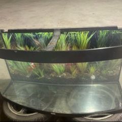 fish tank