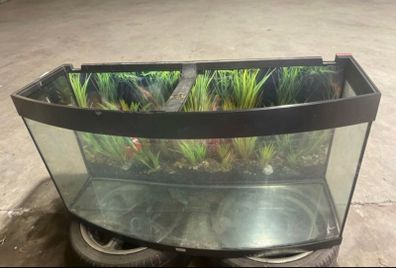 fish tank