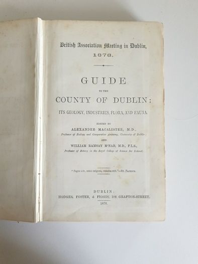 1878 Guide to City and County of Dublin