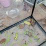 Aquarium Image 6