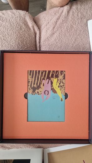 The Chemical Brothers Surrender Limited Edition Anniversary Album Vinyls