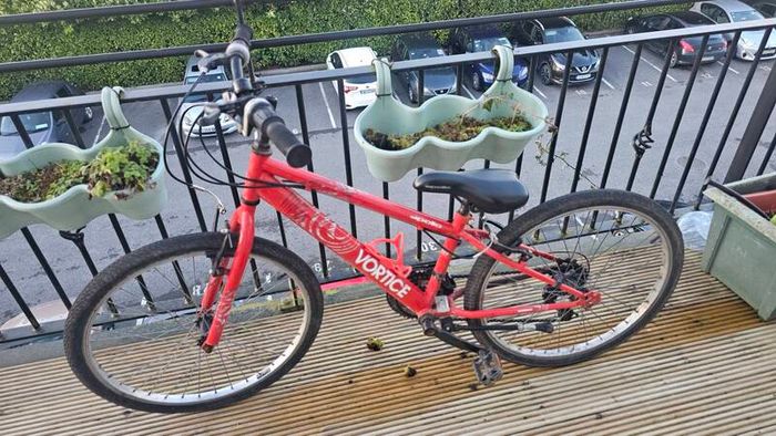 Kids Bike 24"