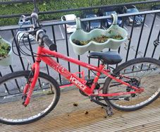 Kids Bike 24"
