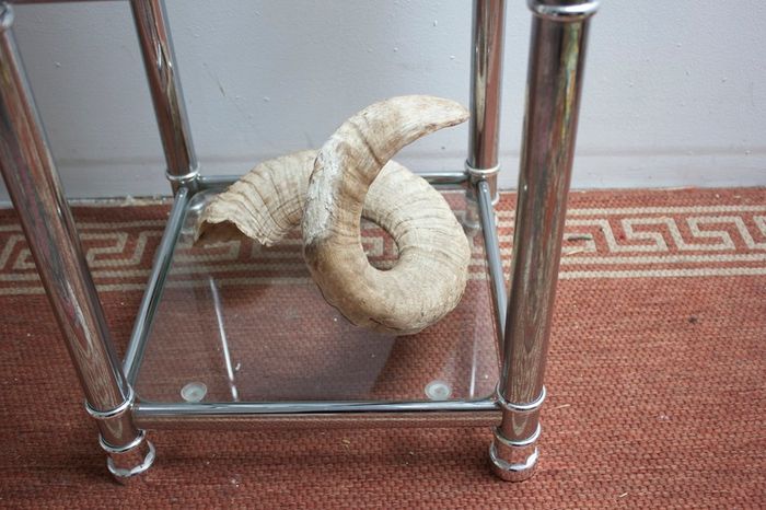 vintage Display case