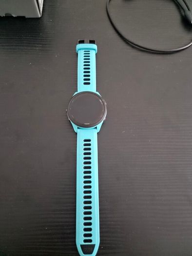 Garmin 265