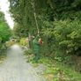 BU-KO 52cc Long Reach Petrol Hedge Trimmer and 75cm Extension Pole w/Toolbag for Convenient Storage, Precision Trimming for Tall Hedges & Bushes, Easy to Use, High Performance, Durable Steel Blade Image 7