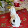 Royal Tara Cat Image 3
