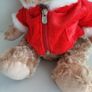 New teddy with red coat tags attached Image 5