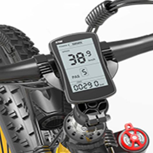 Lankeleisi Xf4000 Electric Bike