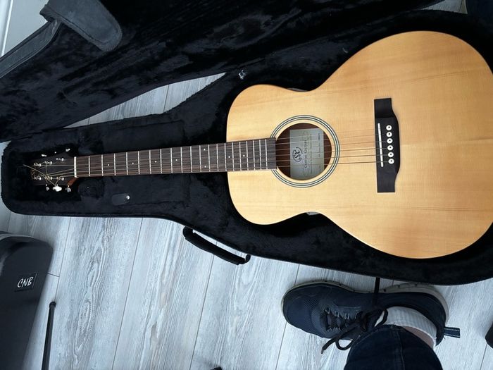 SX Custom Guitar
